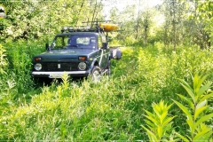 NIVA