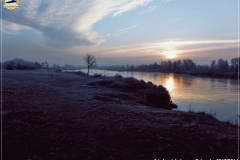 Drzewiczka