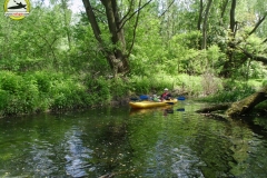 W canoe
