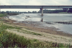Plaża Saska Kępa 2015r