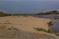 20150816_084504czarne
