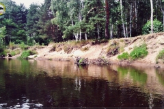Świder