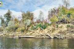 Poniatówka - Modlin
