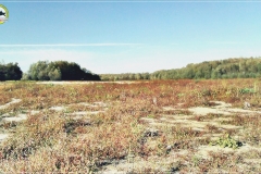 Poniatówka - Modlin