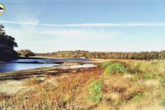 Poniatówka - Modlin