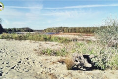 Poniatówka - Modlin