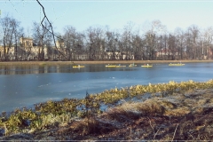 Walentynki 2015 j.Wilanowskie