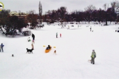 Park Skaryszewski