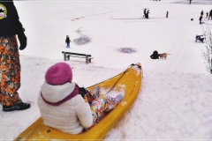Park Skaryszewski